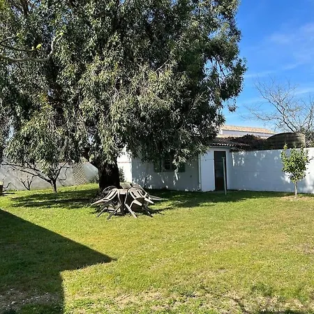Apartamento Pour Escapade Sur L'ile De Re La Flotte