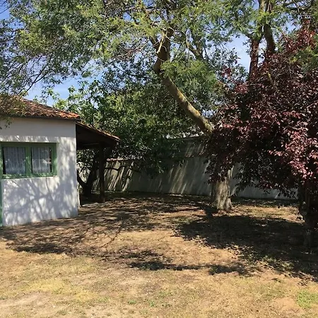 Pour Escapade Sur L'ile De Re La Flotte